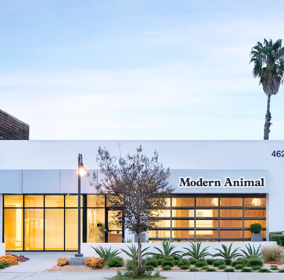 Screenshot 2025 11 13 163106