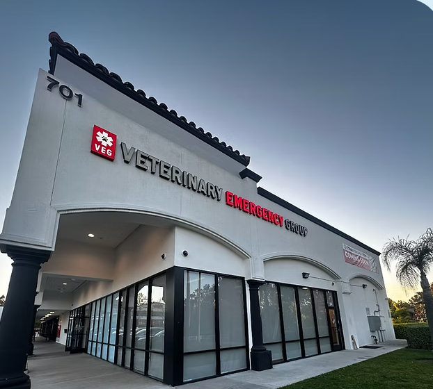 VEG Emergency Vet in Anaheim Hills California