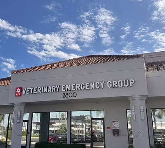 VEG Emergency Vet in Costa Mesa California