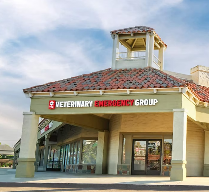 VEG Emergency Vet in Encinitas California